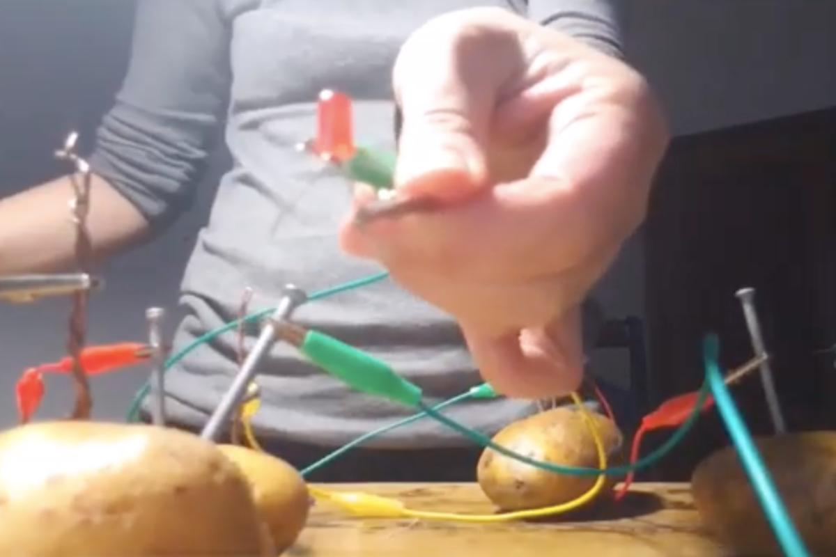 Usando patate e altri accessori si può creare elettricità