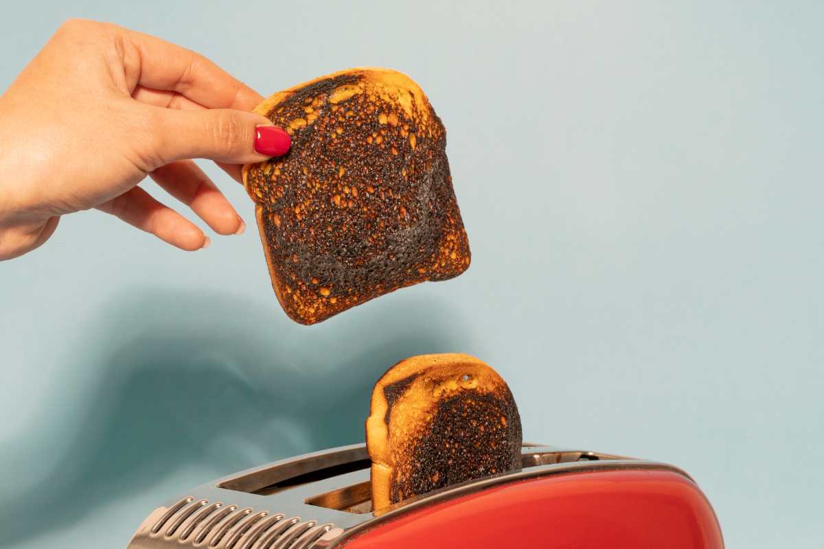 Teoria del toast bruciato cos'è sta spopolando su TikTok