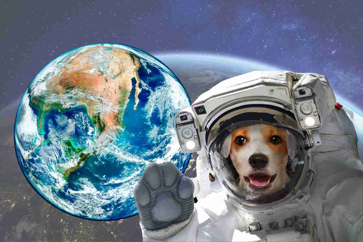 Animali inviati nello spazio