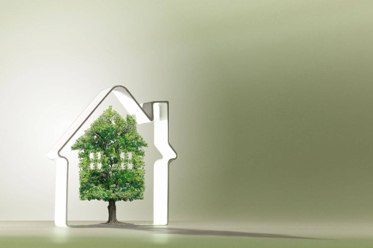 Come può un casa assorbire CO2?