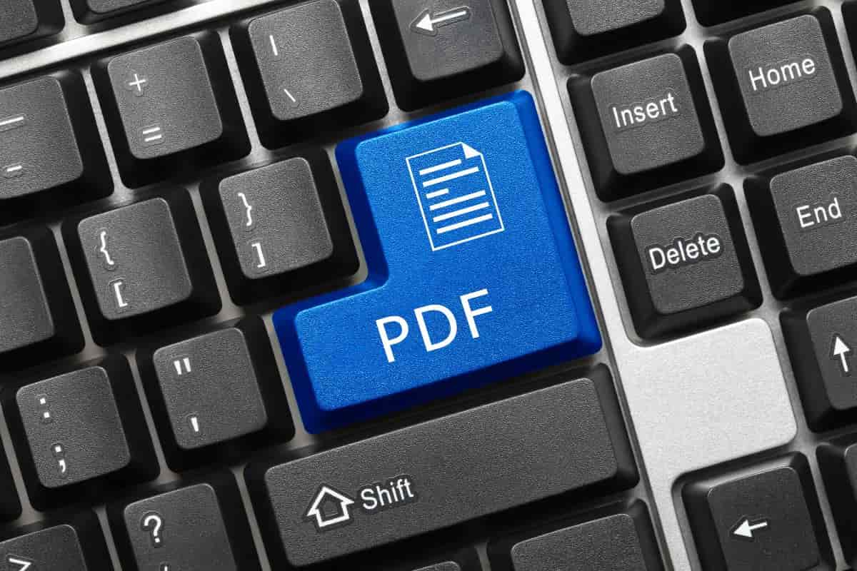 riassumi libro pdf